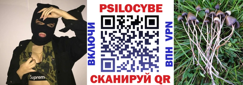 Псилоцибиновые грибы прущие грибы  Кузнецк 